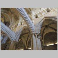 Tui, photo José Antonio Gil Martínez, Wikipedia,2.jpg